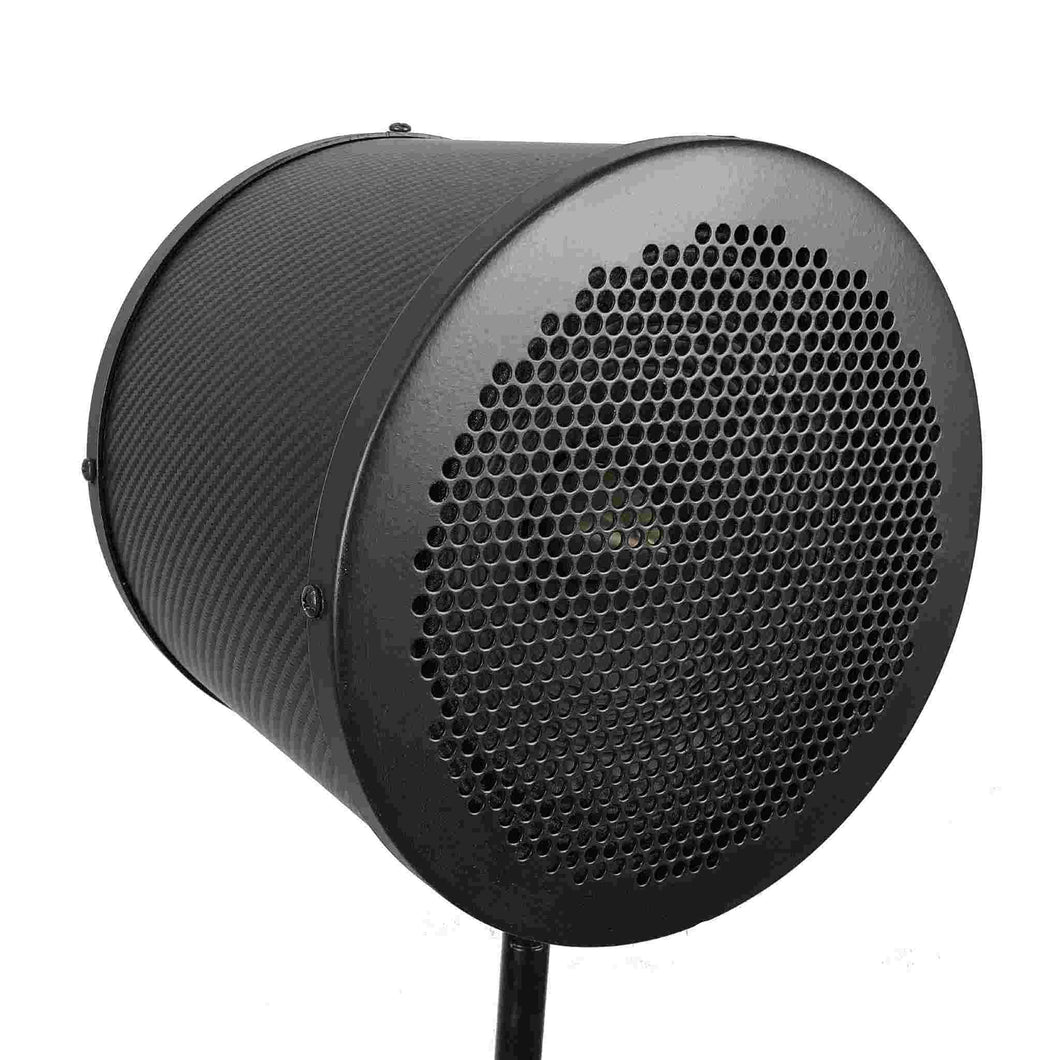 Single Speaker PA